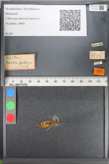 Media type: image;   Entomology 100005